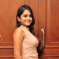 Sheena Shahabadi at Nuvve Naa Bangaram First Look Release Photos | Picture 599523